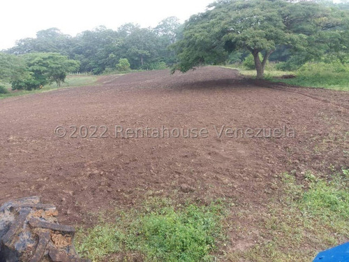 Julio Latouche 25-16896 Finca Ganadera En Venta Carabobo, 267 Hectáreas, Casa Principal De 550 Mts2, Dos Lagunas Para Riego.