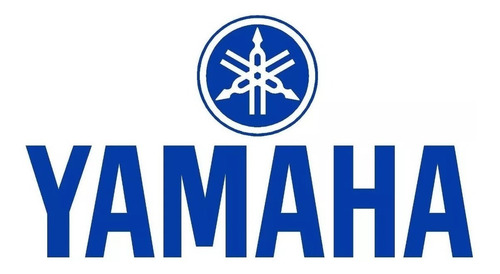 Imagen 13 de 17 de Cuatriciclo Yamaha Raptor Yfm 350 R - Nautisur Motos