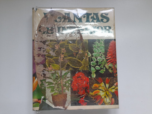 Plantas De Interior, Mariella Pizetti