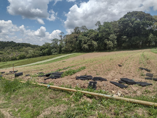 Imagem 10 de 18 de O3o- Deu A Louca No Proprietário