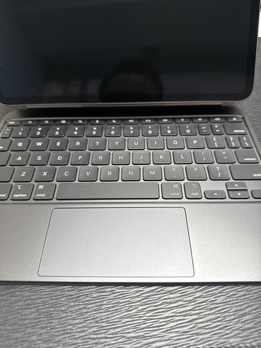 Apple Ipad Pro 11 (wi-fi) - Negro (m4) 256gb Negro (Usado)