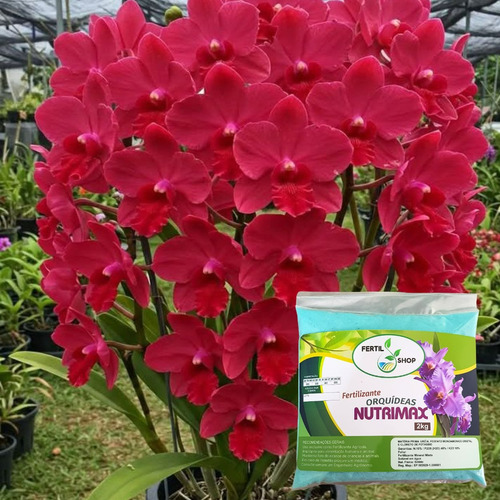 Adubo Fertilizante Nutrimax Npk 10 48 10 2kg