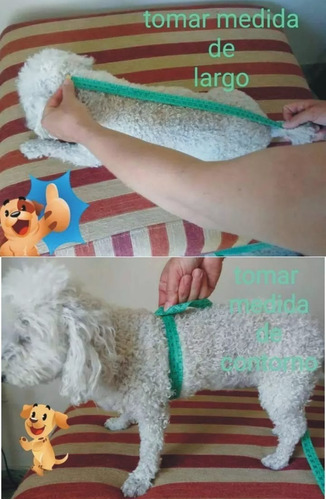 Imagen 3 de 3 de Mochila Para Perros Mochichunis Talle Xxl Hasta 15 Kg