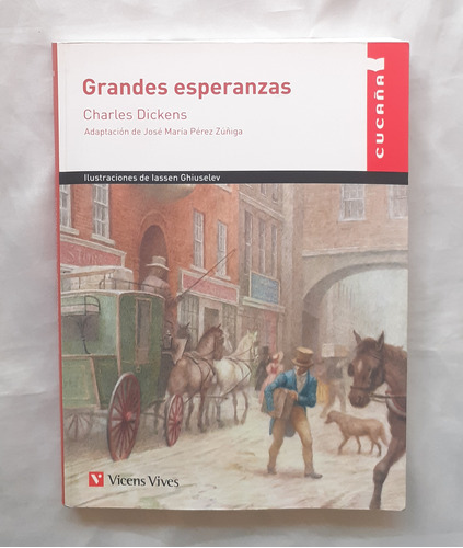 Grandes Esperanzas Charles Dickens Libro Original Oferta