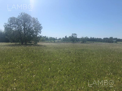 Imagen 20 de 20 de Venta Lote Manzanares La Ranita