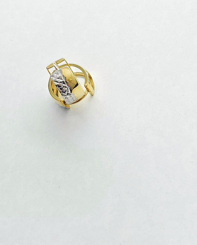 Arracadas Oro 10k X1105 (Usado)
