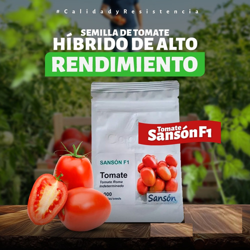 Semilla De Tomate Indeterminado Hibrido Sanson F1 Capgen