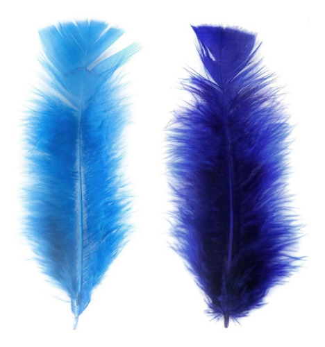 Pena De Galinha Kit 2 Cores Penas Coloridas 200 Und Arte Cor Azul Royal e Turquesa