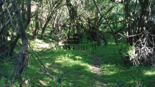 Venta, Campo 98 Hectáreas En Sierras De Carapé