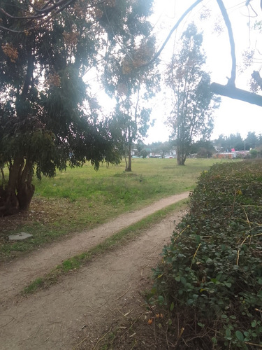 Se Vende Casa Con Campo 3 Padrones Fraccionados Muy Buena Oportunidad De Inversión