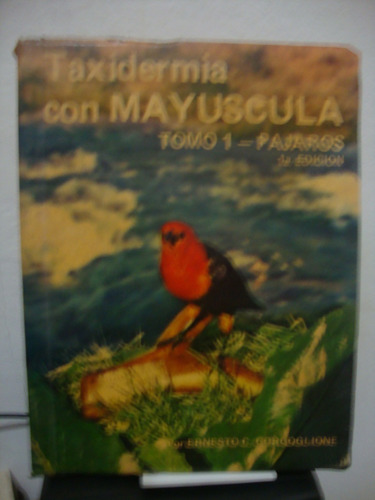 Taxidermia Con Mayusculas 1 - Pajaros - Gorgoglione
