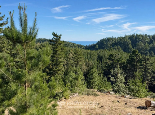 Sitio En Venta En Loteo Alto Boyeruca, Comuna Vichuquén