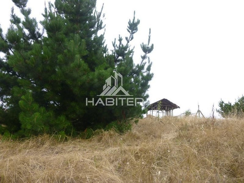 Imagen 7 de 22 de Agrícola En Venta En Navidad
