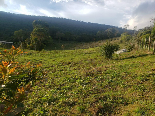 Imagen 18 de 29 de Vendo Finca En Subía Silvania 28.000 M2