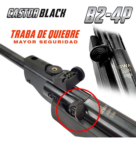 Imagen 2 de 10 de Rifle Aire Comprimido 5,5 Mm B2-4p Castor Mira 4x20 Funda