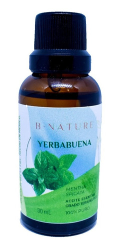 Aceite Esencial De Menta Spicata Hierbabuena 100 Ml Bnature