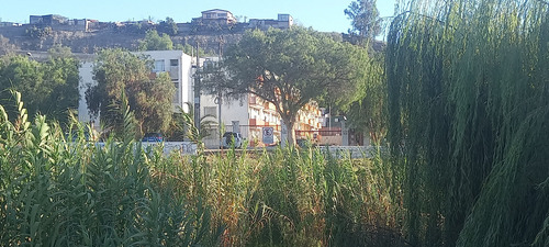 Arriendo Amoblado A 4 Cuadras Calle Prat (88011)
