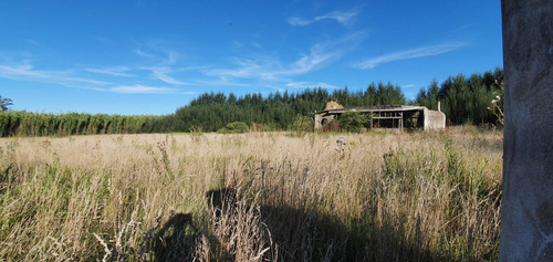 Venta Campo 5 Hectáreas Sierra De Los Padres