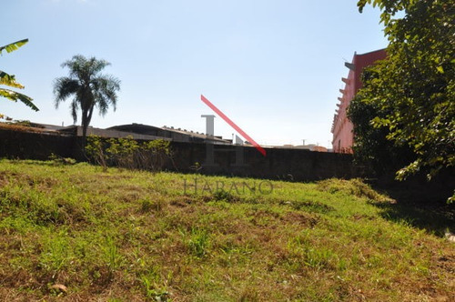 Imagem 11 de 16 de Terreno Para Empreendimento - 145028-v