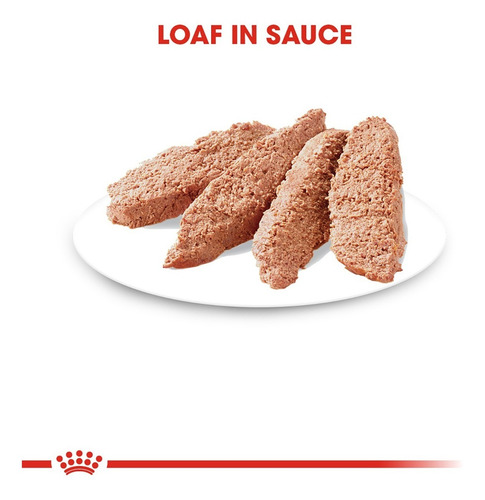 Royal Canin Lata Kitten Loaf In Sauce Alimento Gatito 145gr