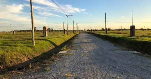 Imagen 1 de 3 de Terreno En Venta En Máximo Paz