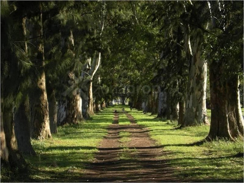 Excelente Campo En Ruta 25 Zona Polo - Mallmann Propiedades