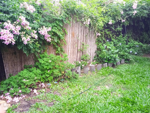 Casa Mara En La Paloma