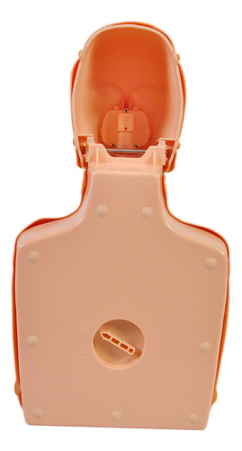 Torso Humano De Rcp Com Desfibrilador (dea) De Treinamento