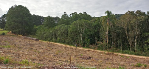 Imagem 6 de 15 de Terreno Para Venda Em Mariana Pimentel, Linha Alves - 1244_1-1843088