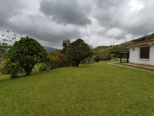 Venta De Finca En Aguirre, Montalbán - 1631 Inmobiliaria Maggi.