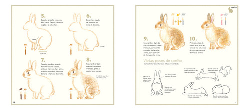 Como Desenhar Animais Com Lápis De Cor