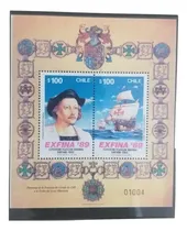 Comprar Chbl20 Chile Hoja Block Año 1989 Expo Filatelia Nacional #2