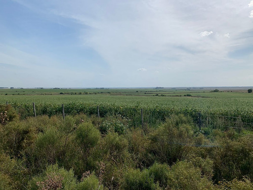 Campo Agrícola Ganadero En Paysandú Ref. 7106