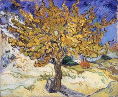 Vincent Van Gogh - Arbol De Morera - Lámina 45x30 Cm.