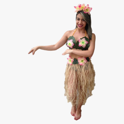 fantasias havaianas femininas