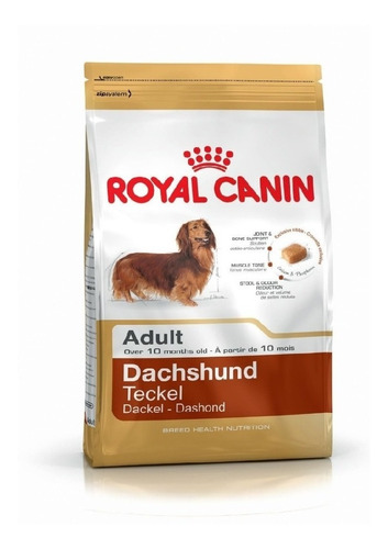 Royal Dachshund/salchicha 3kg.envío Gratis S.isidro/vte.lope