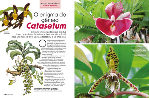 Revista Natureza 426, De Editora Europa. Editorial Europa, Capa Mole, Edição 2023-07-14 00:00:00 Em Português