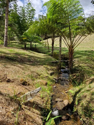 Lote En Venta Con Bosque Y Dos Explanaciones