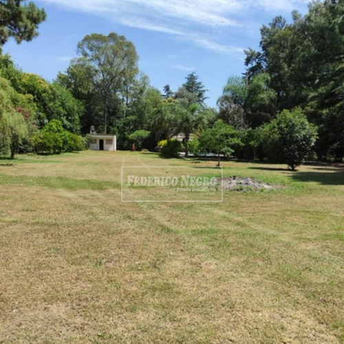 Imagen 4 de 9 de Quinta En Venta En Zárate