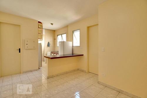 Apartamento Para Aluguel - Bom Retiro, 1 Quarto, 40 - 893049897