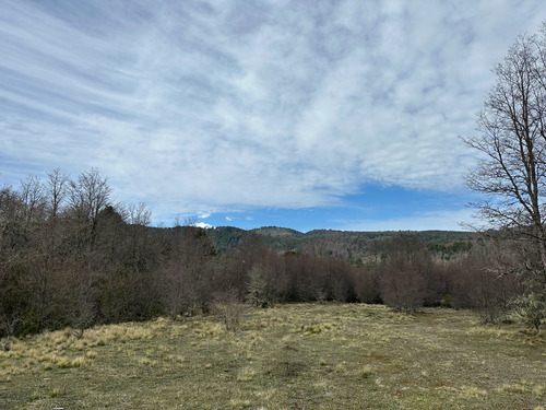 Terreno De Excelente Plusvalía - A 2,3 Km De Malalcahuello