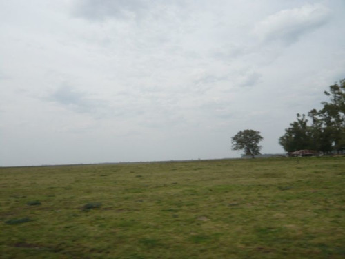 Imagen 13 de 17 de Campo En Cañuelas
