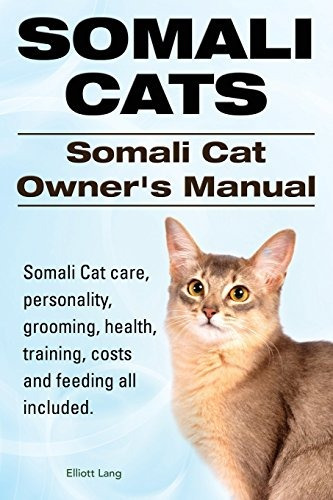 Gatos Somalies Propietarios De Gatos Somalies Manual Cuidado