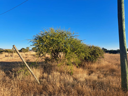 Parcela De 5000 M2 Factibilidad Pozo, Postación Eléctrica