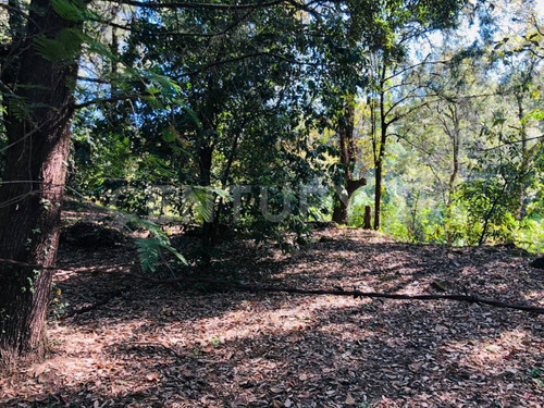 Terreno Venta Cocuatla Tepoztlan San Juan Tlacotenco Ocotes Tepoztlan Morelos