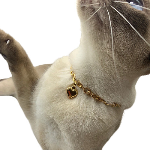 Collar Cadena Color Oro Dije Corazón Para Mascota Gato Perro