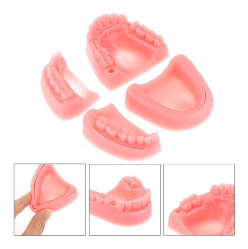 Set 4 Piezas Dental Kit Práctica Sutura Cirujano Dentista
