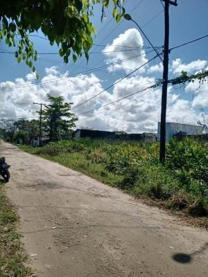 Imagem 3 de 5 de Terreno Em Itanhaém, Lado Serra 20 Metros Da Rodovia.