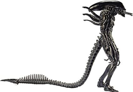 Hiya Toys Alien Vs. Predator: Alien Warrior Figura De