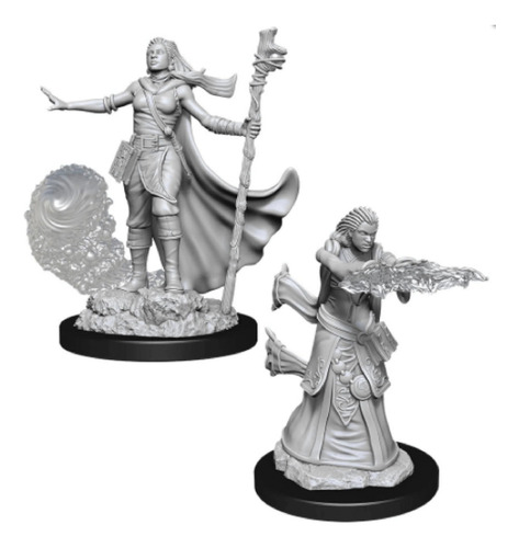 Figura Miniatura Wizkids D&d Nolzurs Marvelous Wave 3 Paladi
